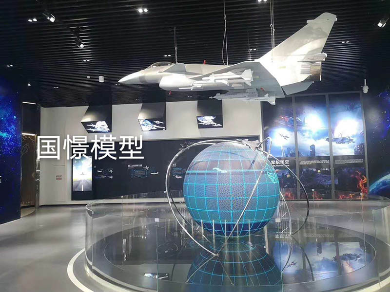 鲁甸县飞机模型