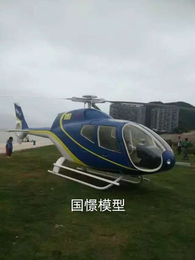 鲁甸县飞机模型