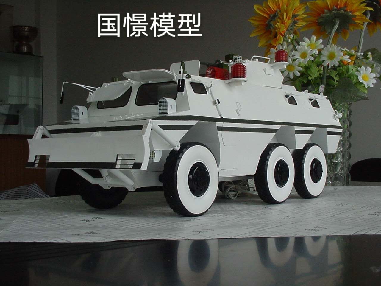 鲁甸县军事模型